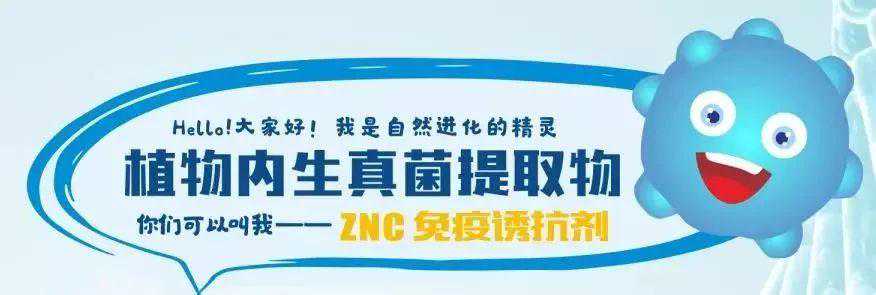 什么是 ZNC？这场技术交流会为您现场解疑
