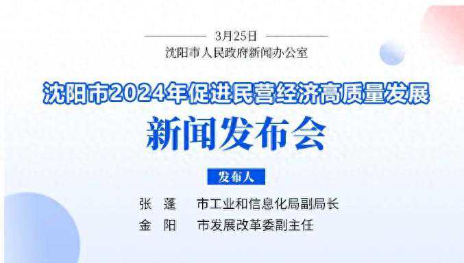 促进民营经济高质量发展，沈阳2024年新政策发布！