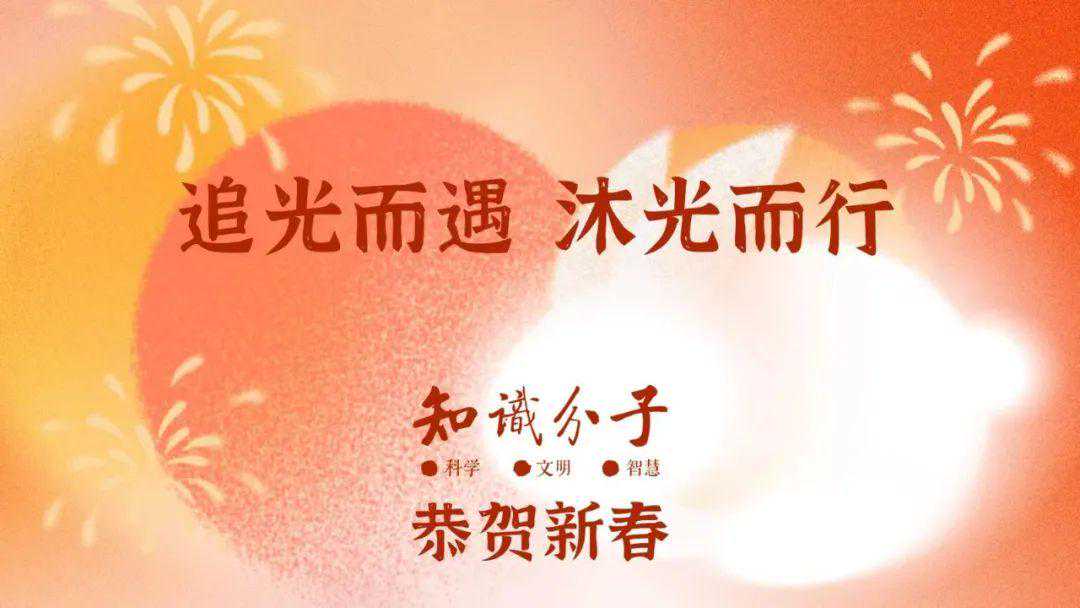 兔子从来没有被战胜过！看似软萌战五渣，实则生存真强者……